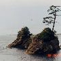 Tillamook Bay