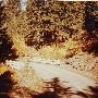 McKenzie Highway - Sisters