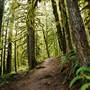 Old Salmon River Trail