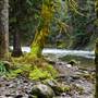 Old Salmon River Trail