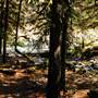 Old Salmon River Trail