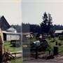 Duyck's Peachy Pig Farm