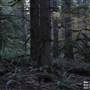 Silver Falls State Park