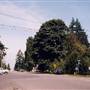 Columbia City