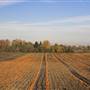 Kruger Farms