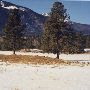 Jaz Ranch