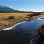 Sparks Lake