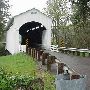 Mosby Creek Covered Bridge