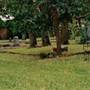 Phoenix Cemetery