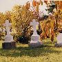 Pioneer Cemetery