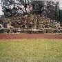 Petersen's Rock Garden
