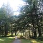 Arch Rock Picnic Area