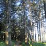 Arch Rock Picnic Area
