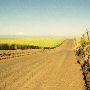 Goat Ranch Road