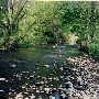 Johnson Creek