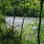 Sandy River