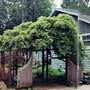 House - 10002488
