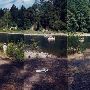 Milo McIver State Park