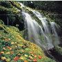 Proxy Falls