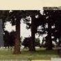 Camas Park