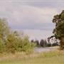 Dehn Farm Pond