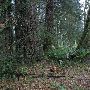 Oxbow Park