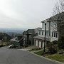 Forest Heights