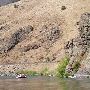 Deschutes River
