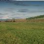 Dufur Fields