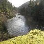 Clackamas River - Upstream Sunset Rapids