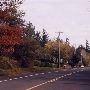 Columbia Gorge fall colors