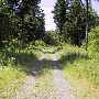 Forest Park Lots