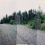 Jack Creek Area