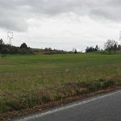 Washington County fields - March