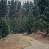 Beatty Creek District - Dillard Area