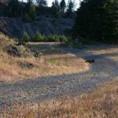 Cascade Locks Quarry (mixed with Gov. Isle.)