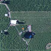 Aubert George Orchards Inc.