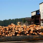 Stimson Lumber mill - Forest Grove