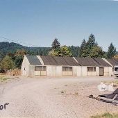 Wendling Gardens Nursery