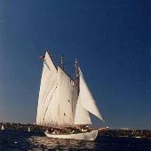 Zodiac Schooner