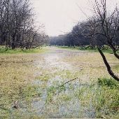 Sauvie Island - Seal Lake