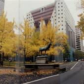 Bronze Elk Statue and Fountain