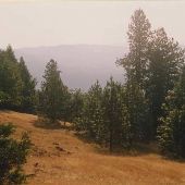 Tiller Forest District - Umpqua National Forest