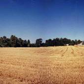 Orrs Corner Road - Dallas