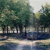 Sauvie Island - Fire Break