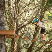 Tree To Tree Adventure Park