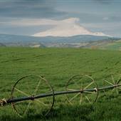 Ashbrook Farm