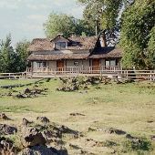Pedigo Ranch