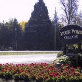 Duck Pond Cellars