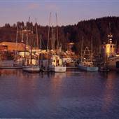 Winchester Bay, City of